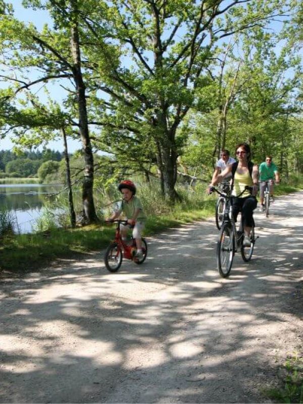 Balade en vélo en famille lors de votre séjour au camping l'Entre-Deux à Châtillon-sur-Cher